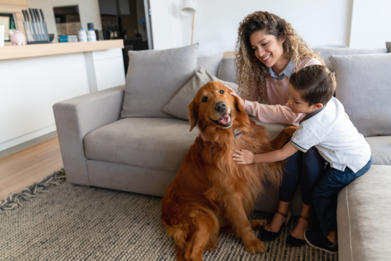 Radon Safety for Pets concept